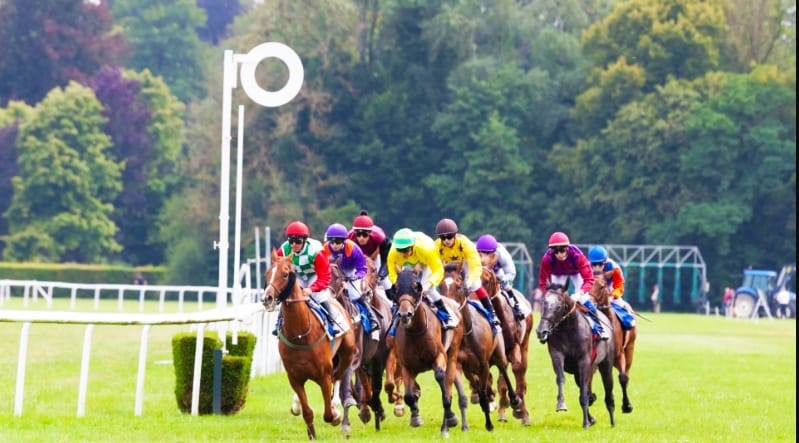 Lantana crossing the finish line at Vittel race day, 27 August 2025