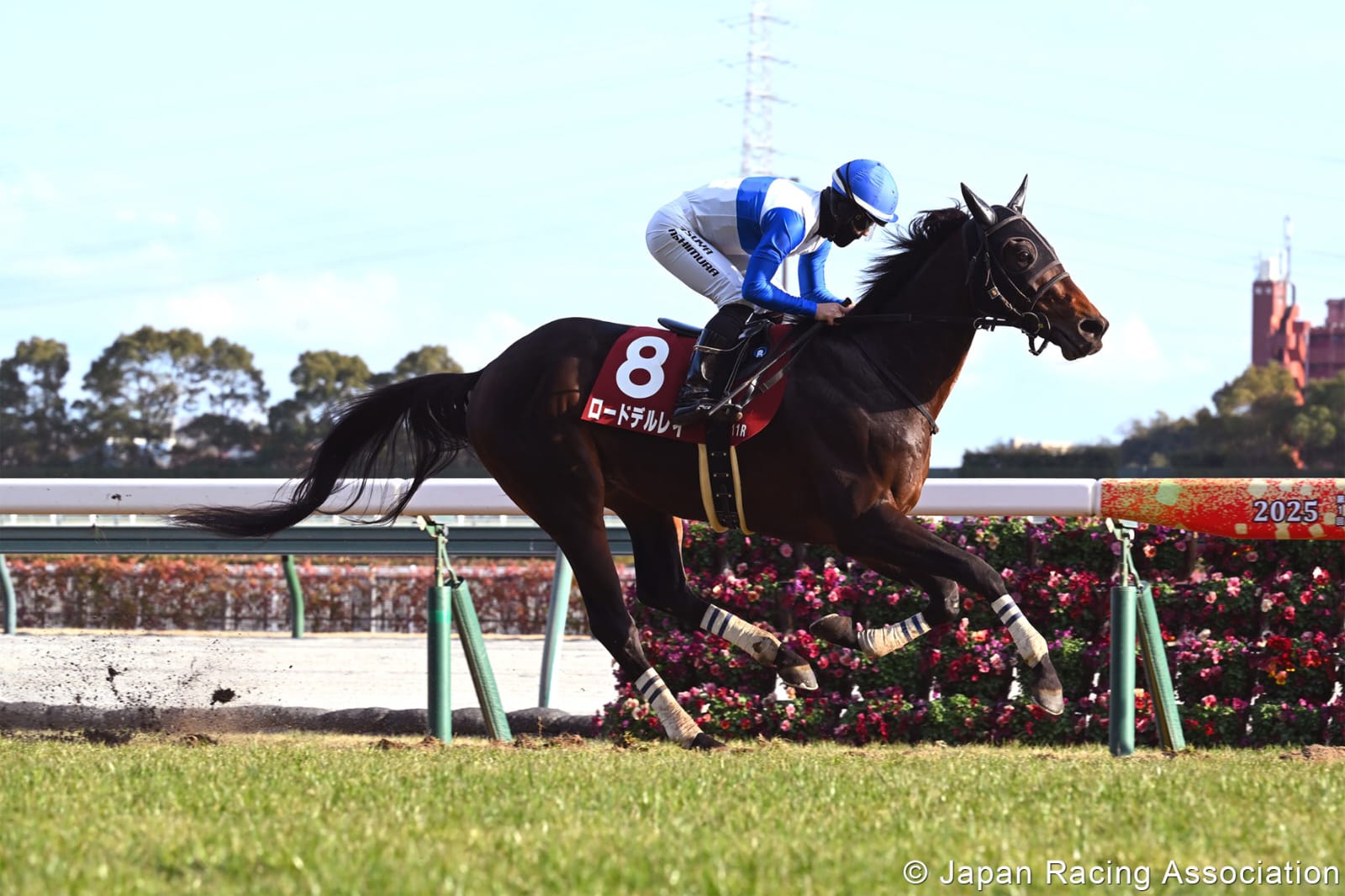 Runners battling up the uphill stretch at Chukyo Racecourse during Chukyo Race Day