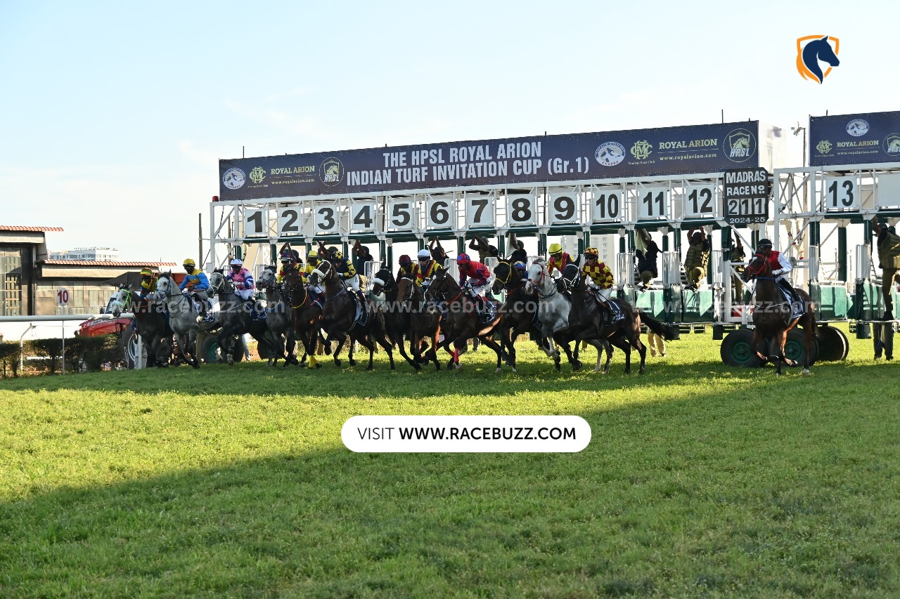 Paddock view at Madras Race Club with jockeys and horses preparing for races.