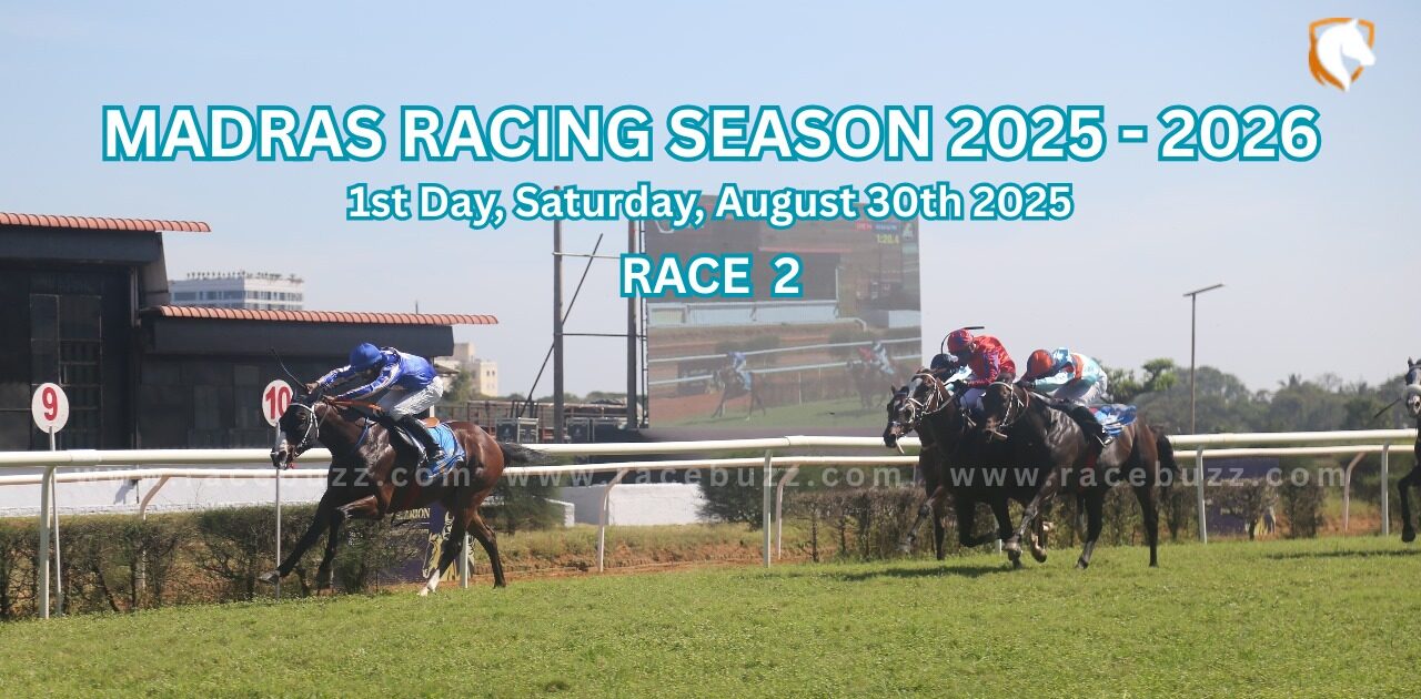 Romping Home winning The Mount Everest Handicap at the Madras Races 2025–26 opener