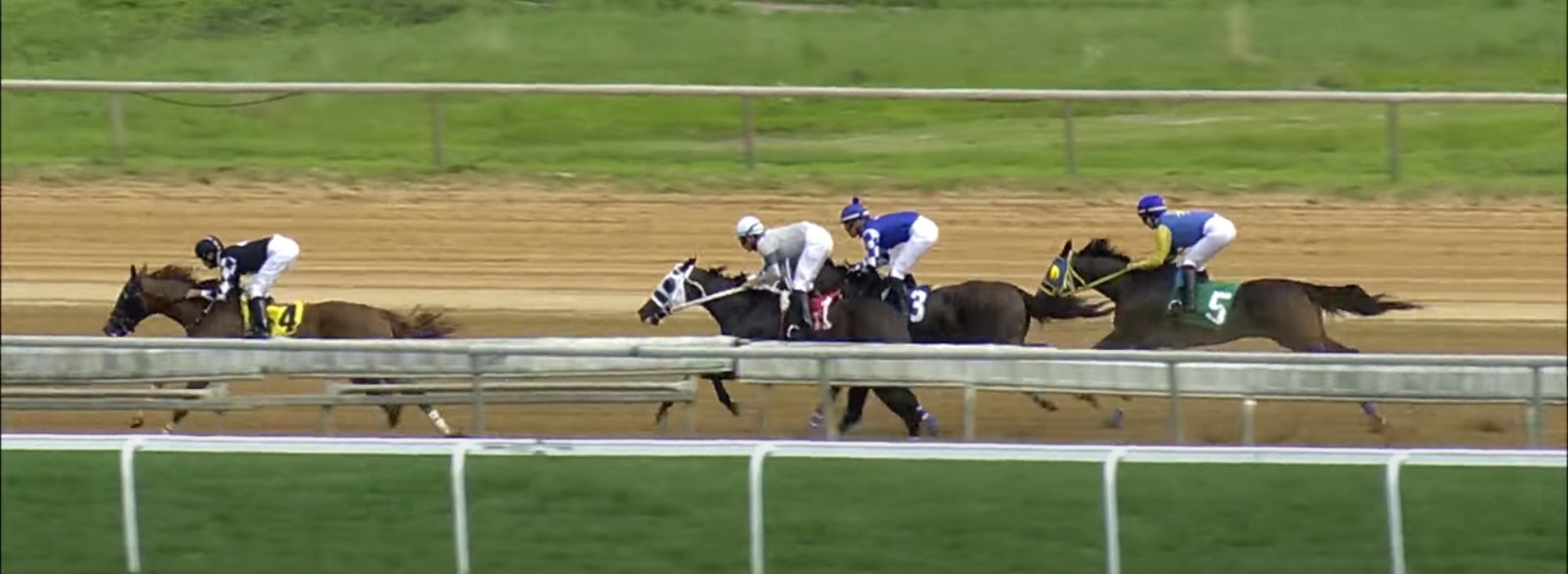 Delaware Park race day August 30, 2025 – horses racing with jockeys and cheering crowd