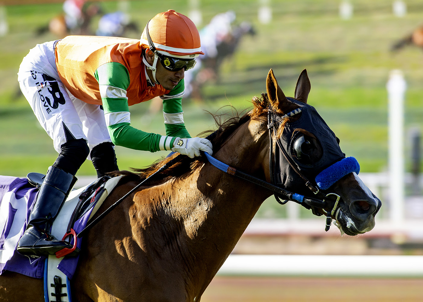 Alpha Bella winning the CTT and TOC Stakes at Del Mar under jockey Hector Berrios