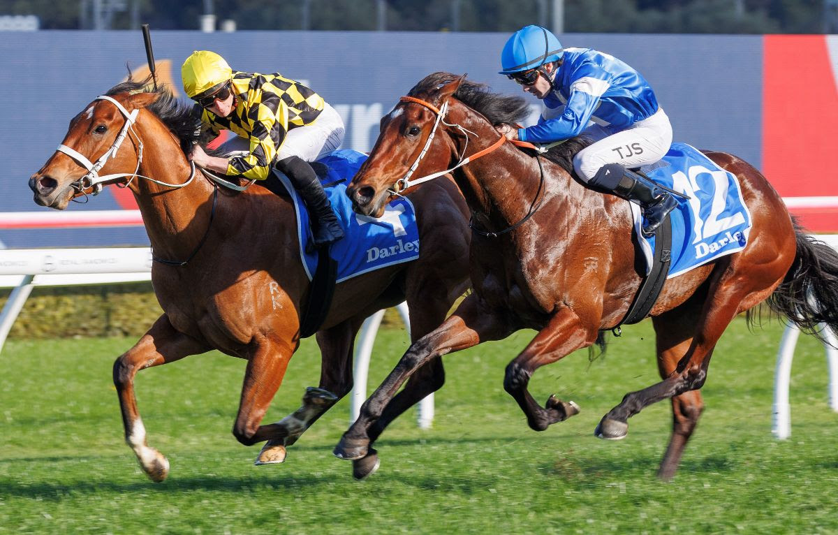 Autumn Glow winning the Toy Show Quality at Randwick