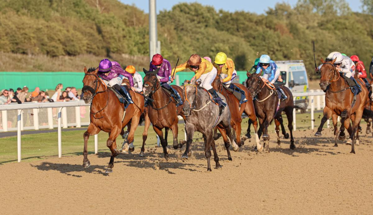 Bragbor wins for London & The South in Racing League 2025 at Newcastle under Richard Kingscote