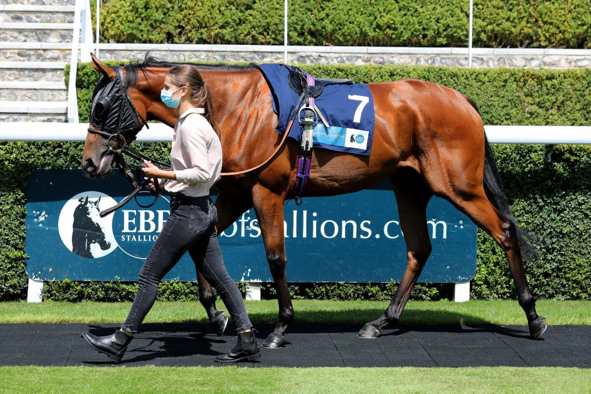 British EBF sponsors five major races at the Ebor Festival 2025 at York
