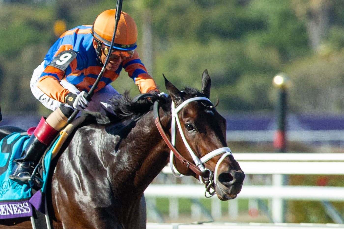 Fierceness works at Saratoga ahead of possible Pacific Classic 2025 run