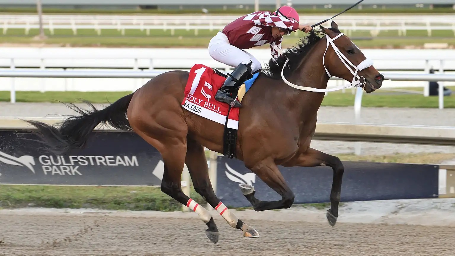 Worth Considering winning at Gulfstream Park on August 29, 2025