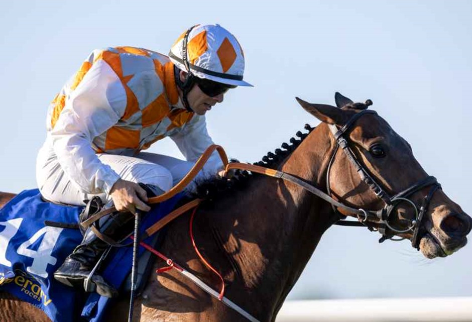 Horses lining up at Tipperary racecourse with jockeys ready for a seven-race card