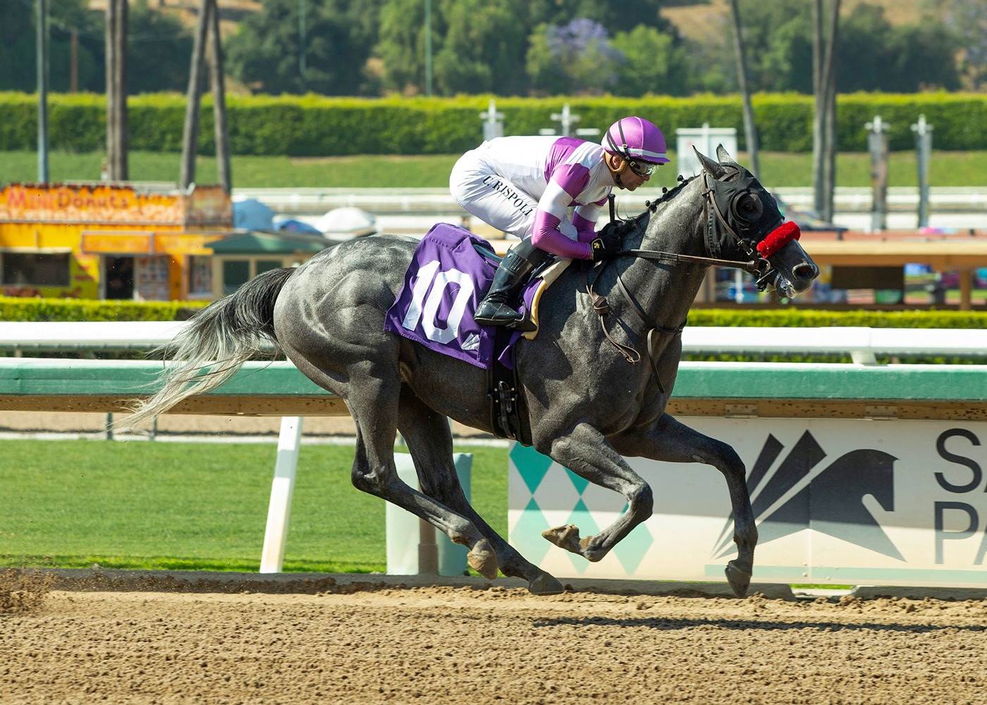 Hero Or Zero leading the field in the Graduation Stakes at Del Mar 2025