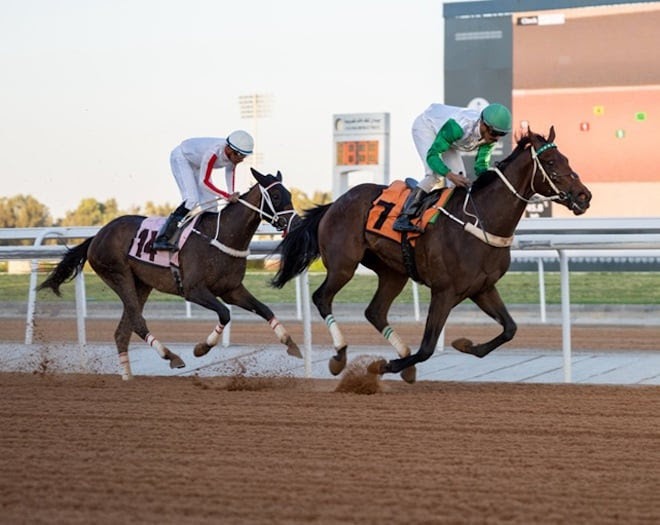 Falah Zain leading contenders in the Alhada Cup at King Khalid Racecourse