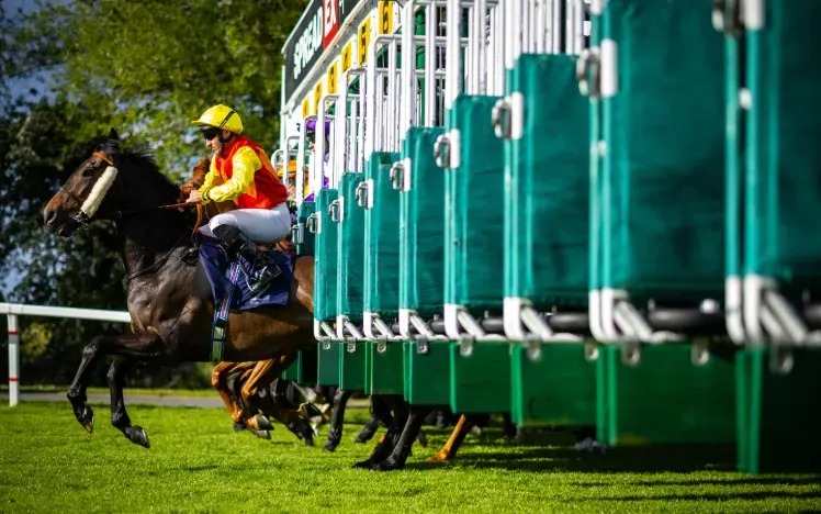 View of the Royal Windsor Racecourse track during a lively evening flat racing event