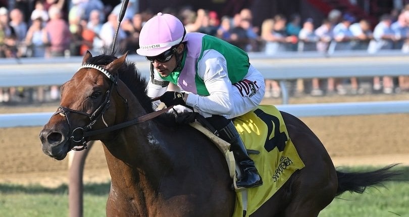 Horses in action during the New York Stallion Series Stakes at Saratoga Racecourse on August 14, 2025