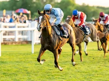 Crowds enjoying the Racing League at Windsor Racecourse under summer skies