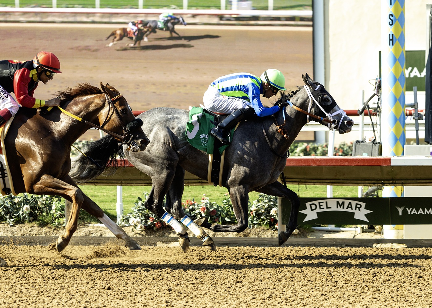 Horses charging down the stretch at Del Mar Racecourse during the August 14, 2025 race meeting