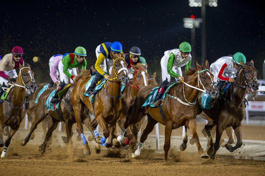 Overview of the Shubra Cup at King Khalid Racecourse with horses racing on dirt track in Taif, Saudi Arabia