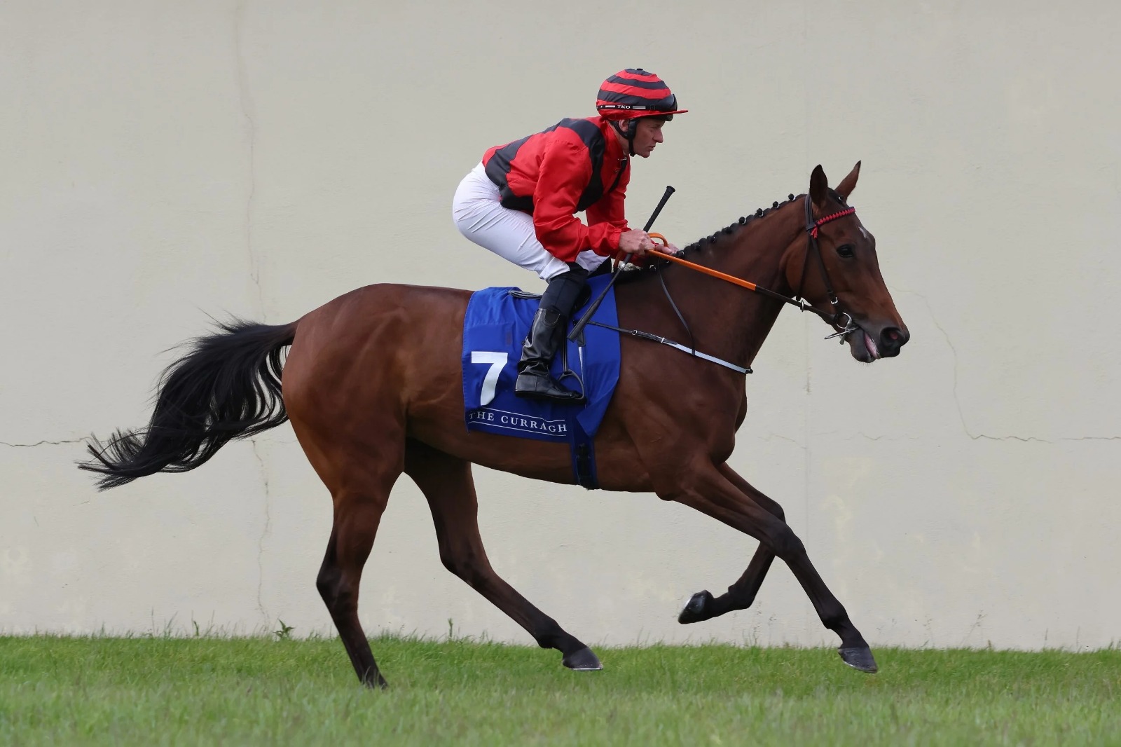Exciting Summer Saturday Race Day at Curragh Racecourse featuring top-class horse racing and family entertainment