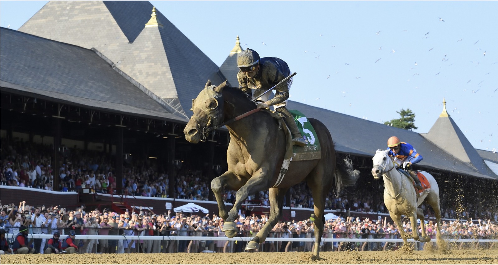 Horses breaking from the gate at Saratoga Racecourse during the Saratoga races August 16 card
