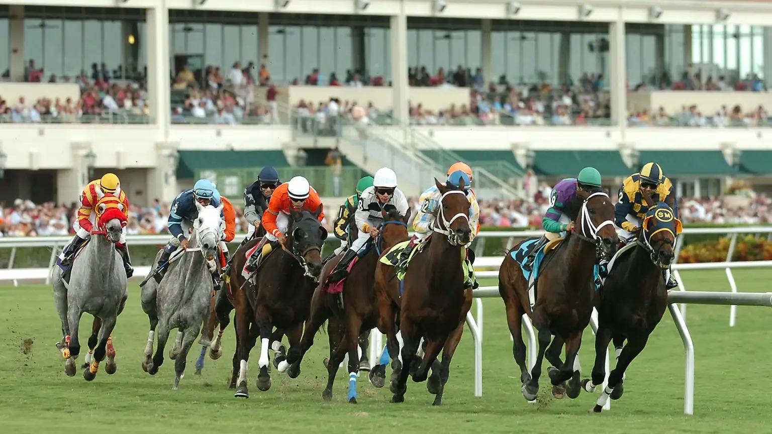 Horses and jockeys lined up at Gulfstream Park ahead of the August 22nd, 2025 races