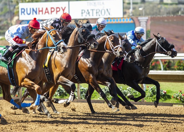 Horses and jockeys lined up for racing at Del Mar Thoroughbred Club with excited crowd in the background