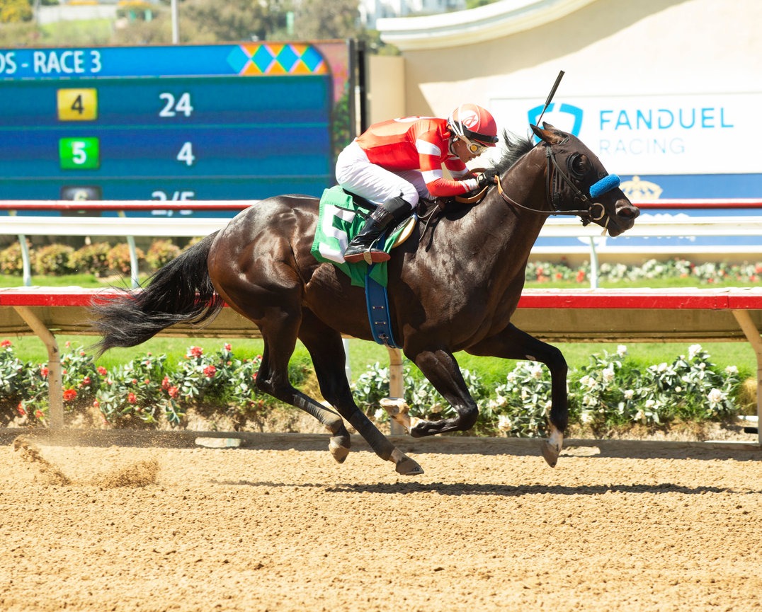Dr. Venkman winning the 2025 Pat O’Brien Stakes at Del Mar Thoroughbred Club