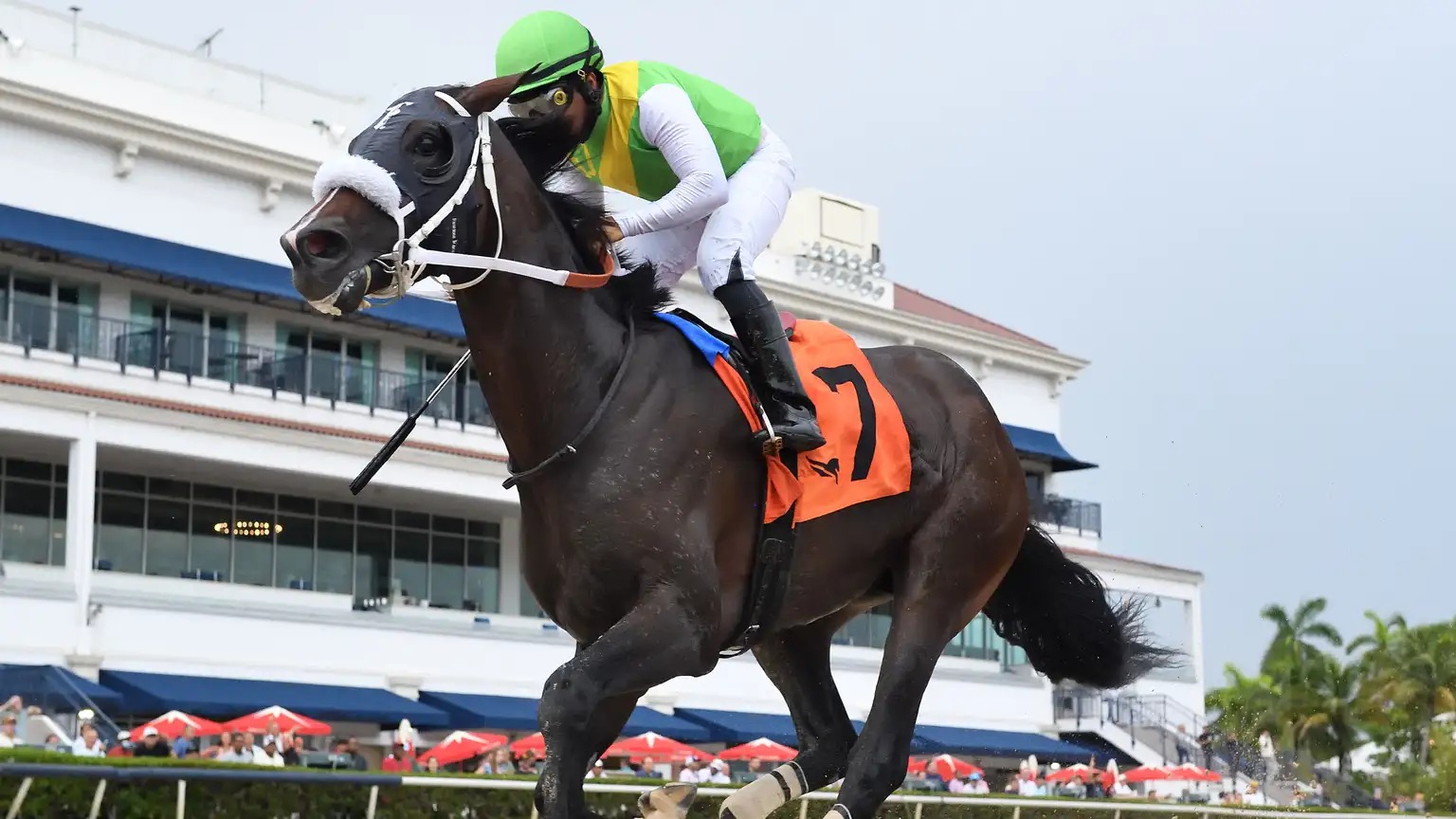 Shaq Diesel winning the stakes race at Gulfstream Park on August 24, 2025