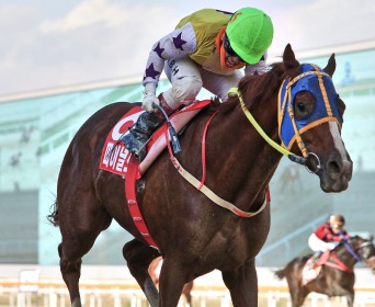 Exciting racing action at Seoul Racecourse Park with jockeys and horses crossing the finish line on August 24th, 2025
