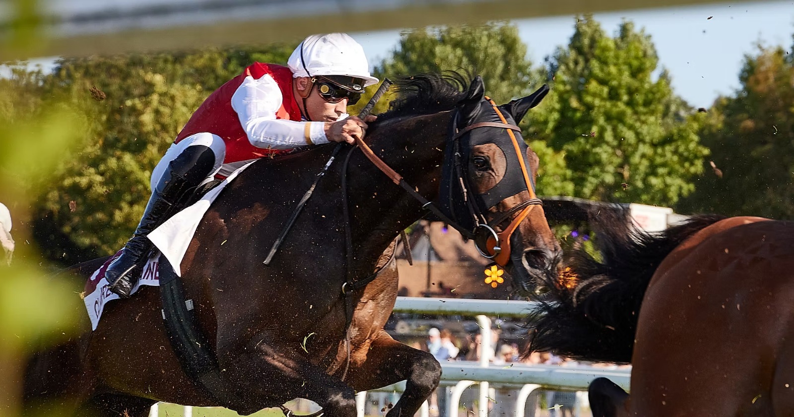 Horses line up at Clairefontaine Racecourse for a full day of racing on 27 August
