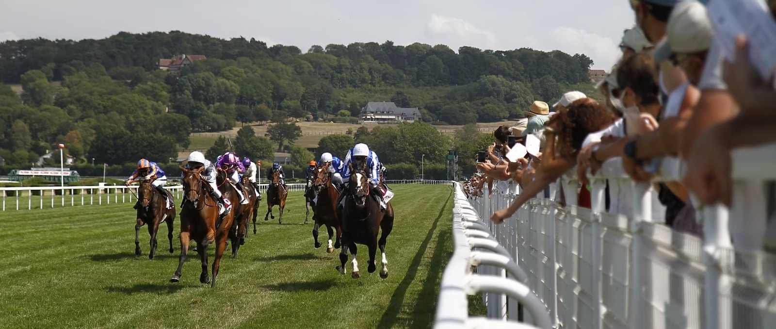 Exciting race day action at Hippodrome de Clairefontaine with cheering crowd and competing horses