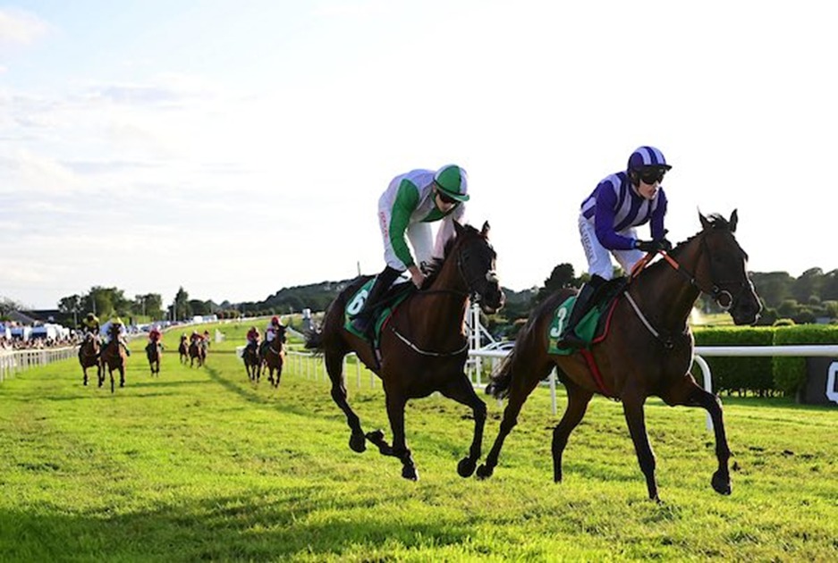 Bellewstown Racecourse hilltop track with horses racing in action on August 27