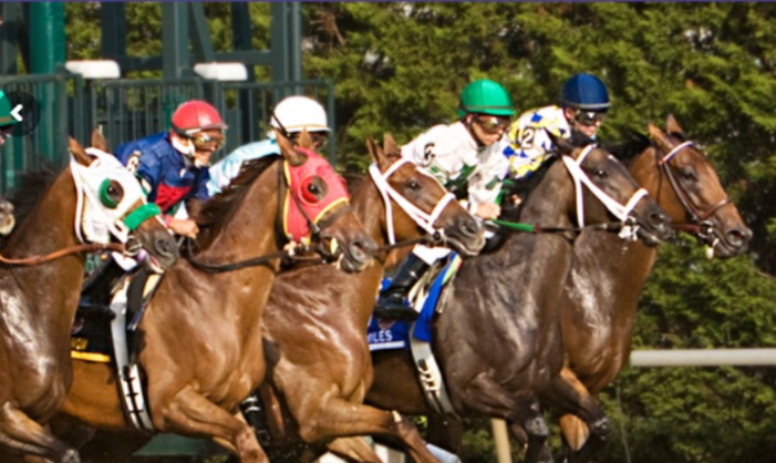 Runsweetly winning the Maiden Claiming at Delaware Park under jockey Raul E. Mena on August 28, 2025