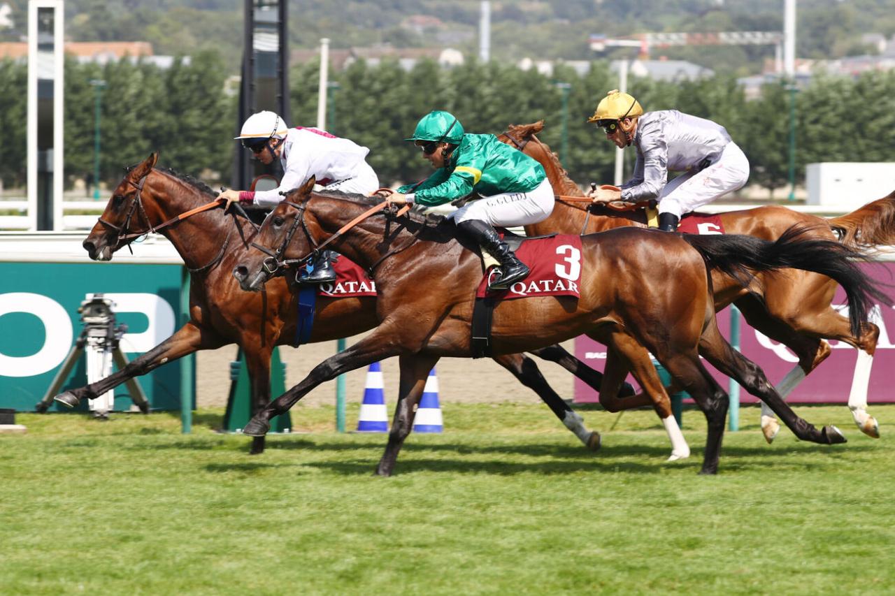Purebred Arabian Racing winners Laffan and RB Kingmaker at Deauville 2025