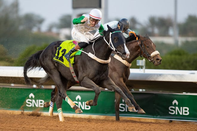 Mhally preparing for the Taif Derby 2025 at King Khalid Racecourse