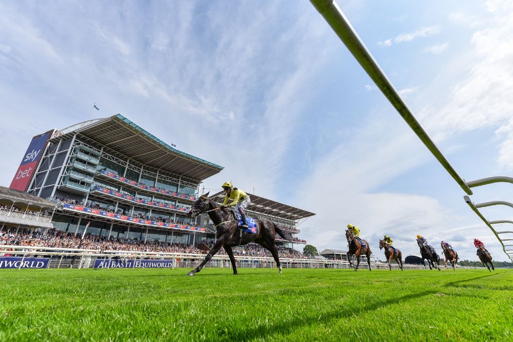 Ombudsman and Minnie Hauk lead Cartier Horse of the Year standings after Ebor Festival 2025