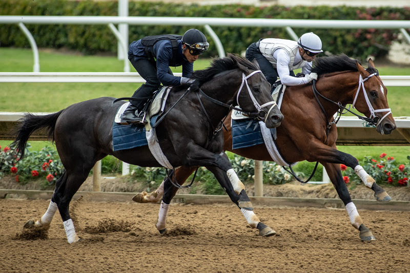 Journalism and Nysos preparing for Pacific Classic 2025 at Del Mar