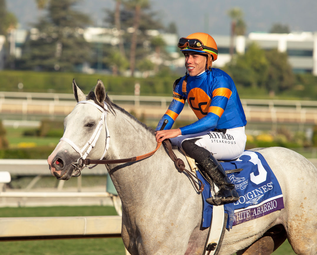 Horses train at Del Mar ahead of the 2025 Pacific Classic