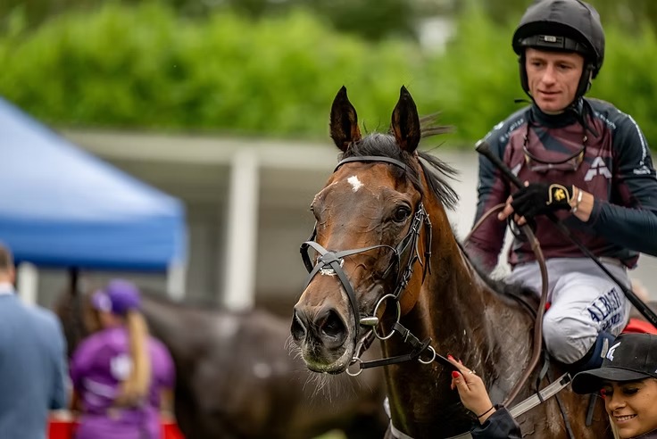 Racing League Newcastle 2025 night five preview featuring Matt Chapman and London & The South