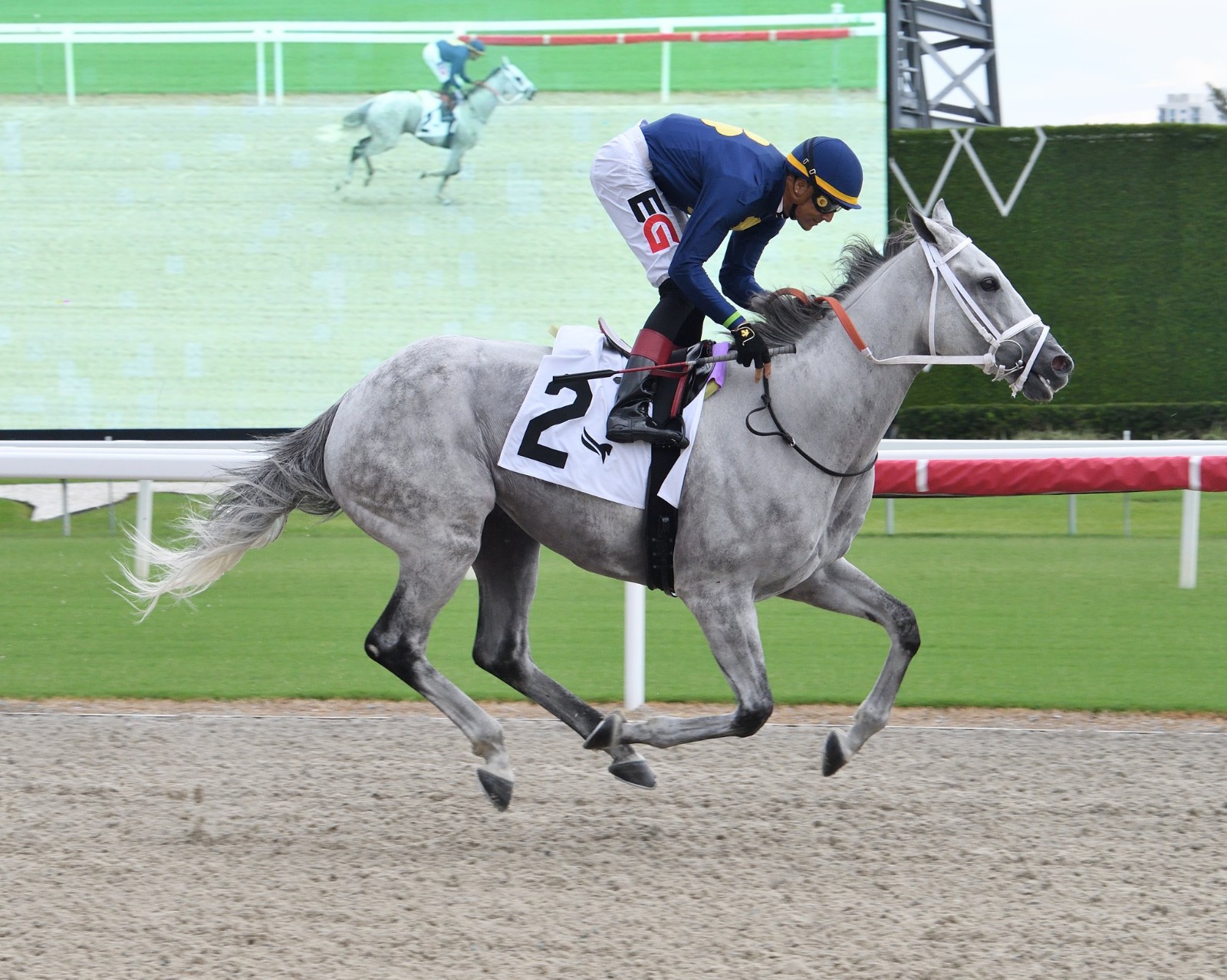 Saffie Joseph Jr., Edgard Zayas, and Ken Ramsey lead title races at Gulfstream Park’s Royal Palm Meet 2025