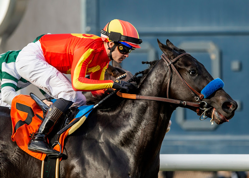 Pat Obrien Stakes 2025 – Speed Boat Beach Returns at Del Mar
