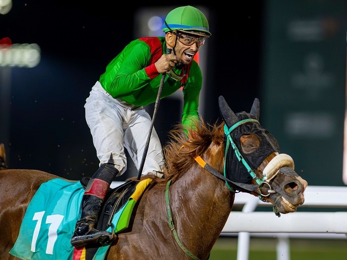 Arabian horses race under lights at King Khalid Racecourse during Taif Summer Race Night