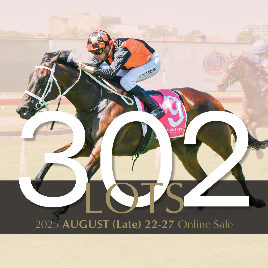 Rare Too Darn Hot nomination highlights Inglis Digital August Sale
