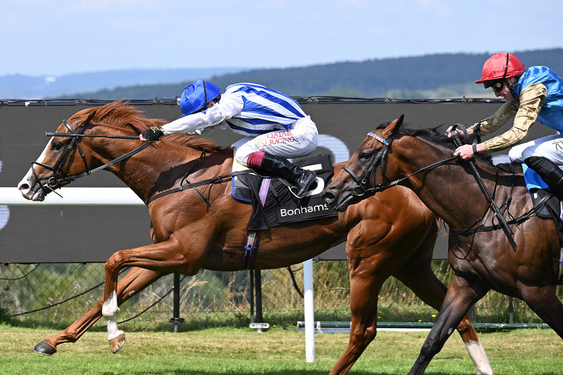 Seagulls Eleven Bonhams Thoroughbred Stakes victory at Goodwood 2025