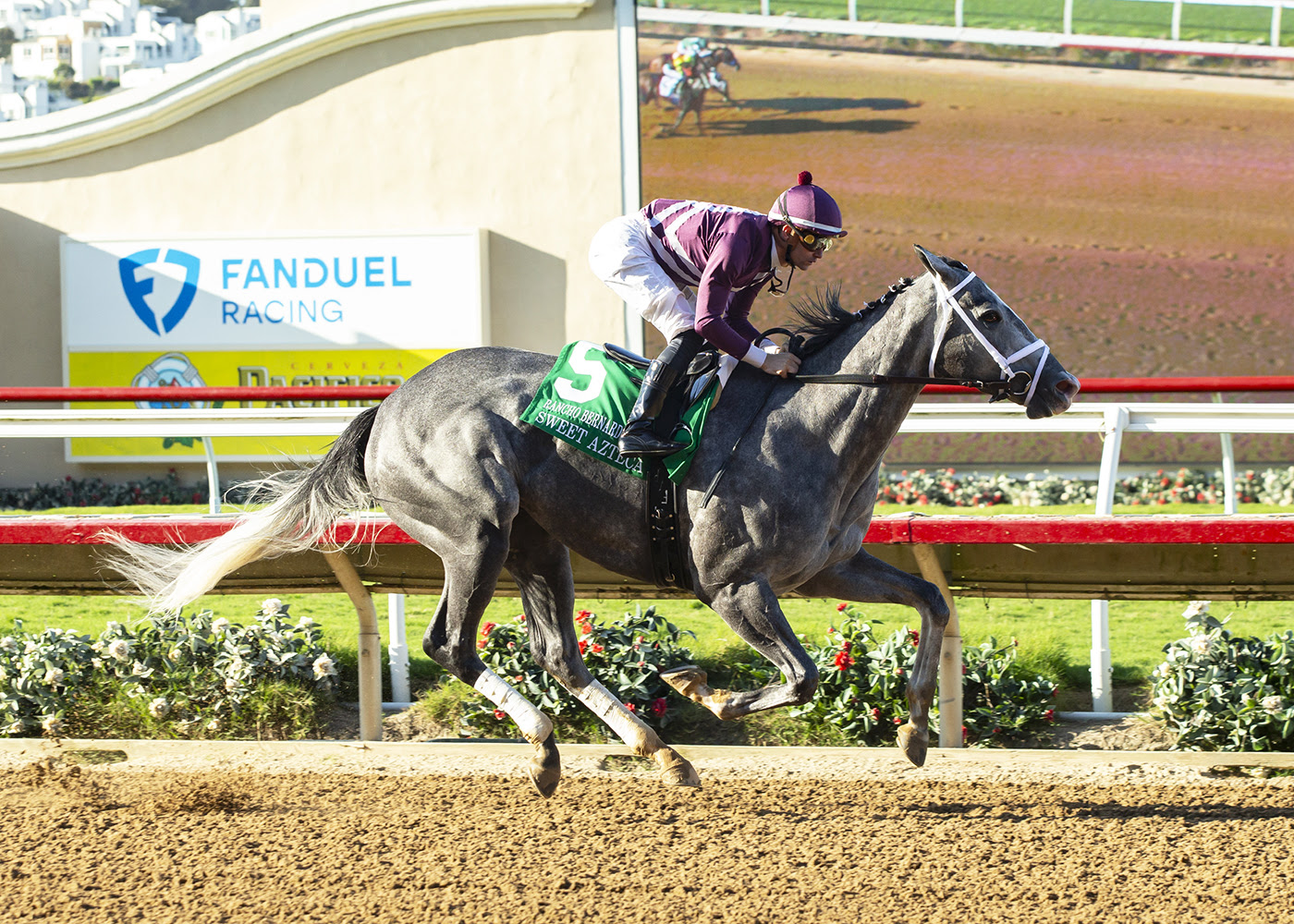 Sweet Azteca training ahead of Rancho Bernardo Handicap 2025