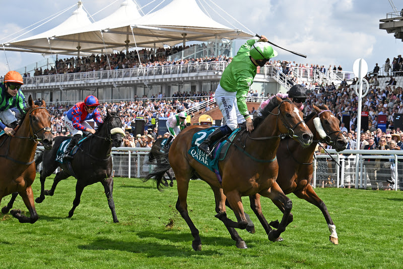 Jm Jungle King George Qatar Stakes 2025 winner at Goodwood
