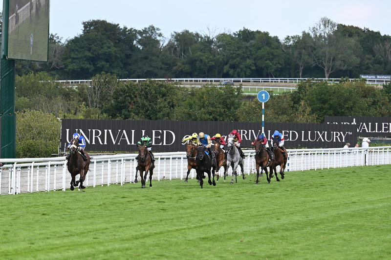 Fox Legacy wins Regent Seven Seas Cruises Bentinck Stakes 2025
