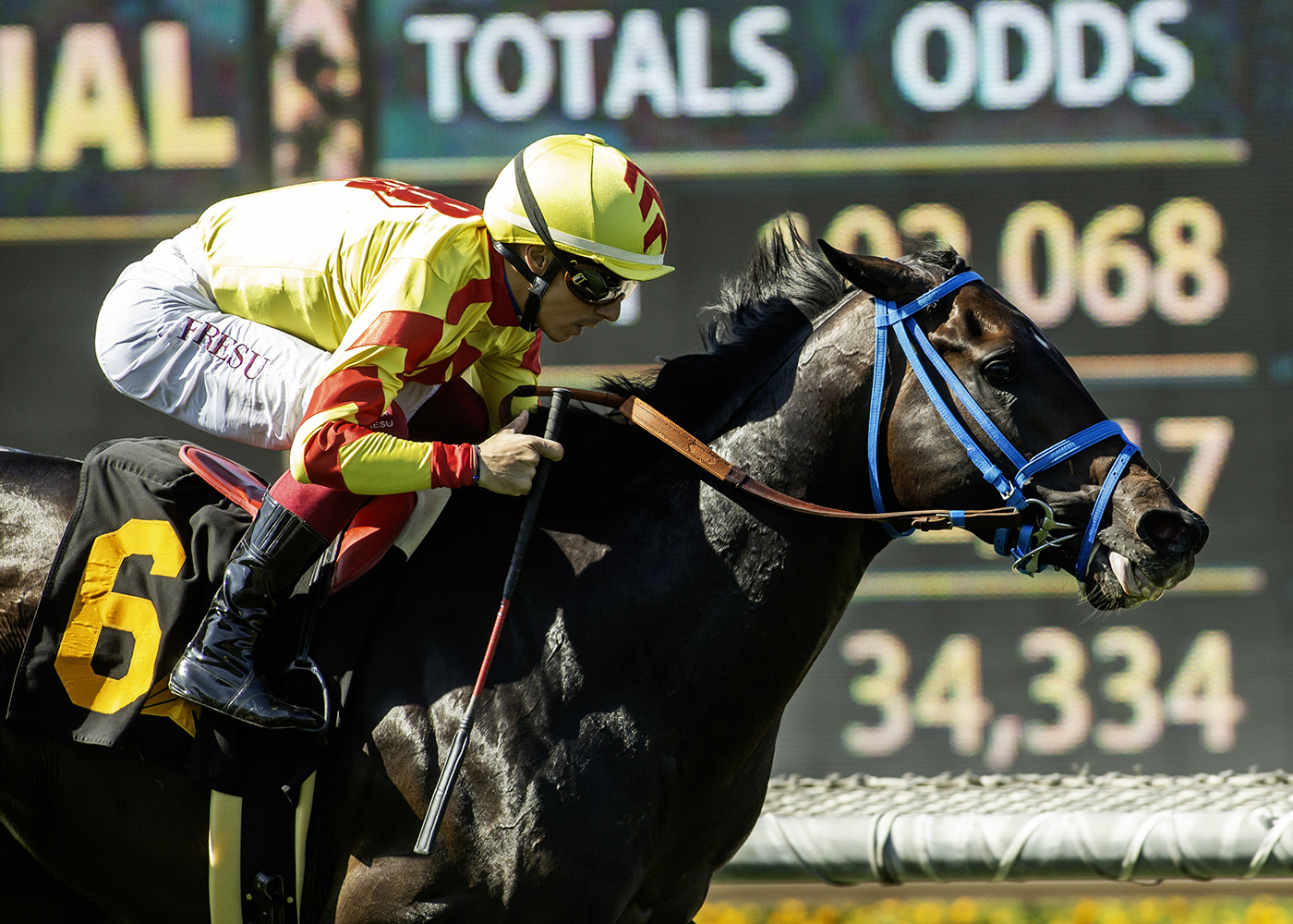 Del Mar La Jolla CTBA Stakes 2025