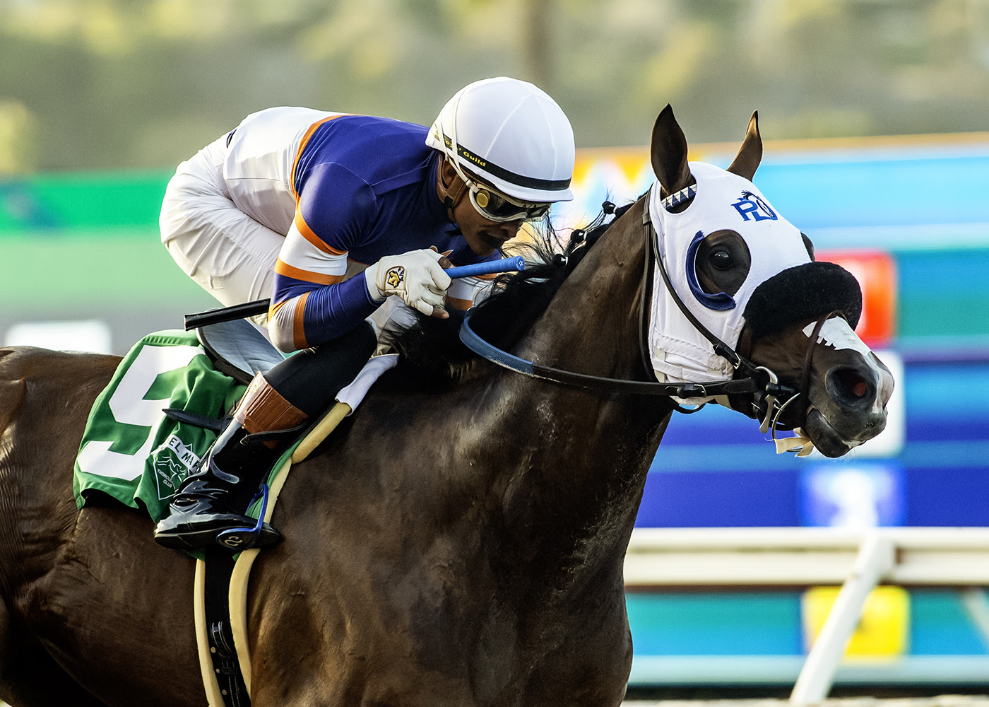 Speedy Wilson Real Good Deal Stakes 2025