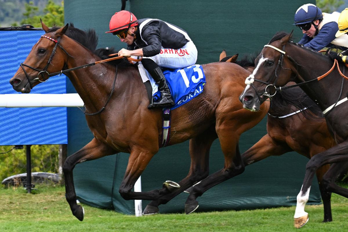 Sam Hawkens wins Coral Summer Handicap 2025 under Tom Marquand