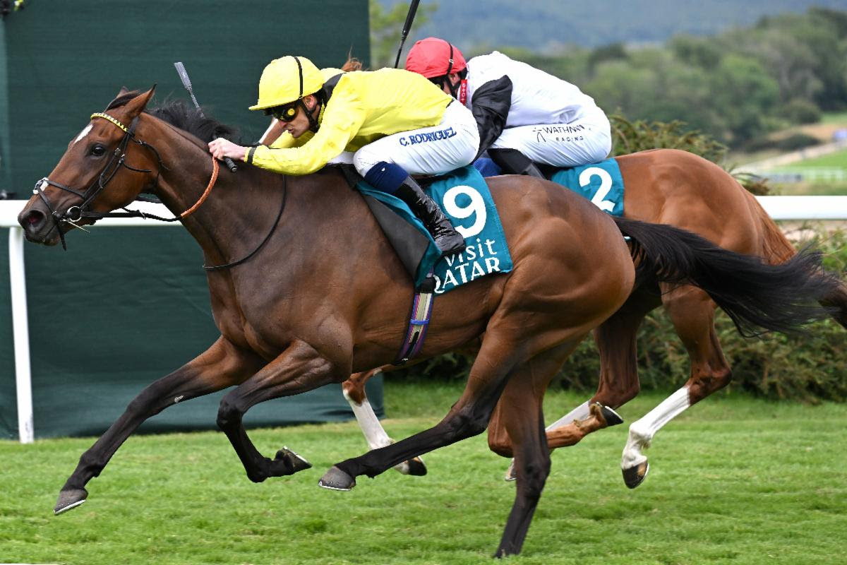 Waardah wins Qatar Lillie Langtry Stakes 2025 under Callum Rodriguez at Goodwood