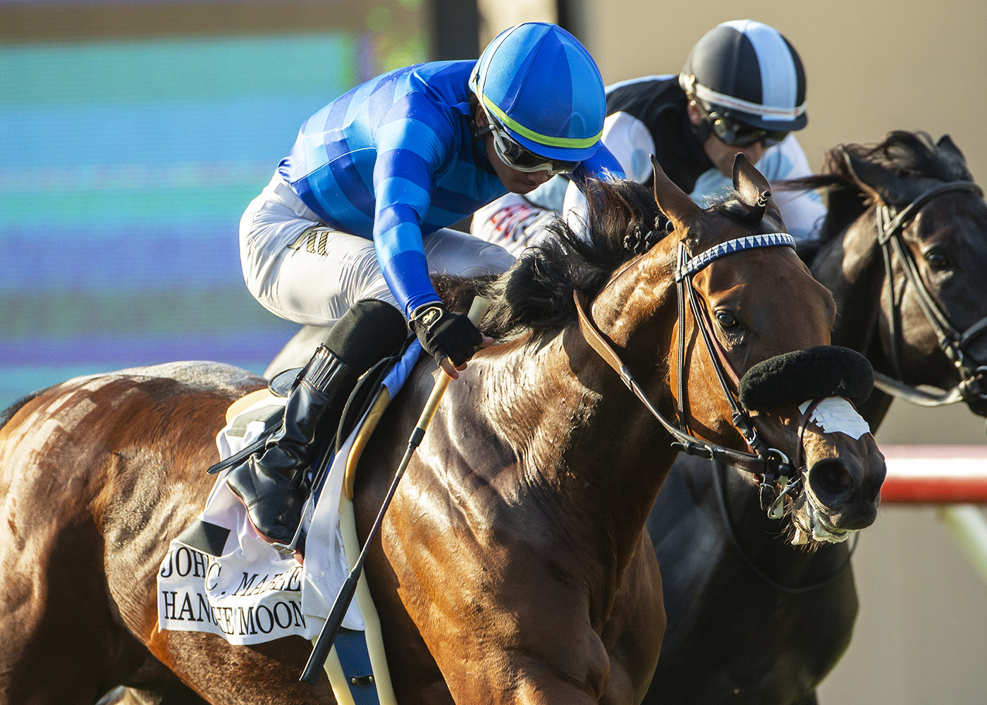 Yellow Ribbon and Best Pal Stakes Del Mar 2025 feature race preview
