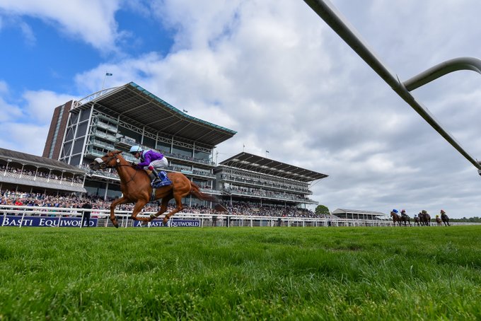 Horses racing at York Racecourse on Nunthorpe Day